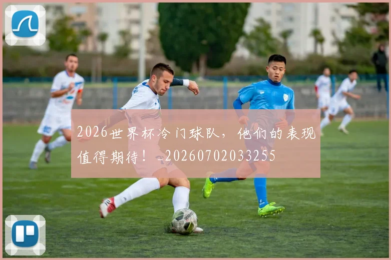 2026世界杯冷门球队，他们的表现值得期待！_20260702033255