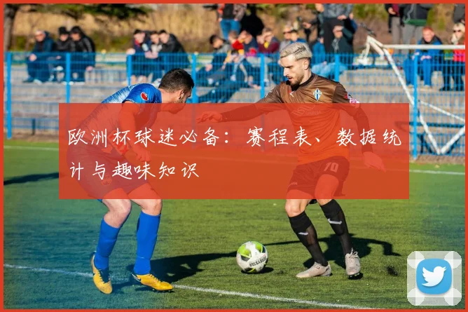 欧洲杯球迷必备：赛程表、数据统计与趣味知识